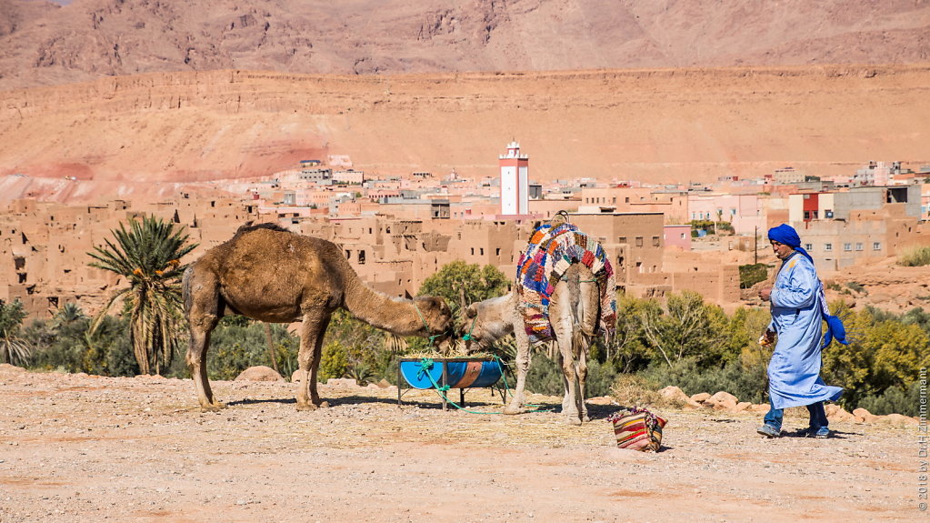 Marokko - Von Erfoud nach Quazarzate